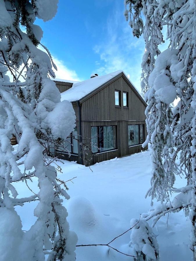 Martebaecken 19 Villa Sälen Exterior foto